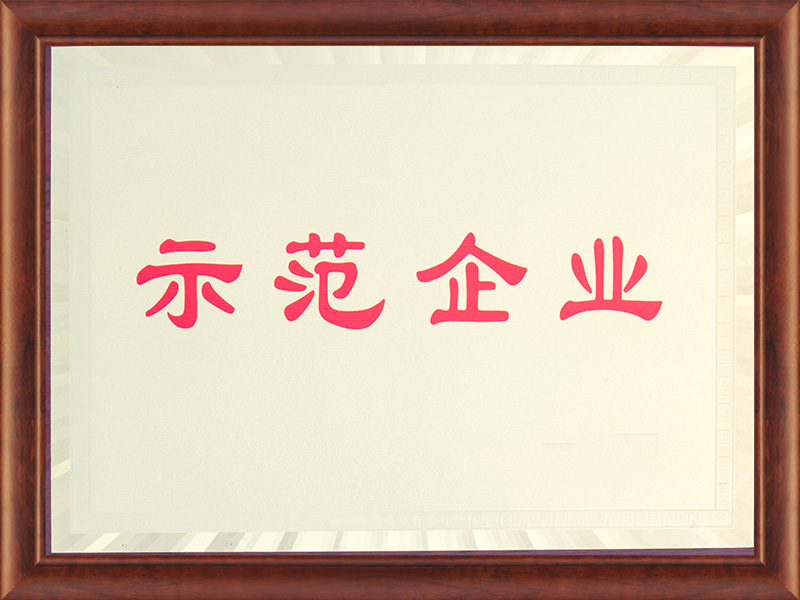 示范企業(yè)