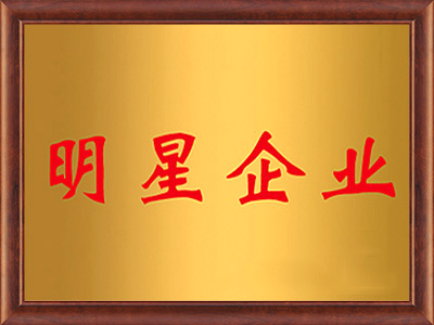 明星企業(yè)